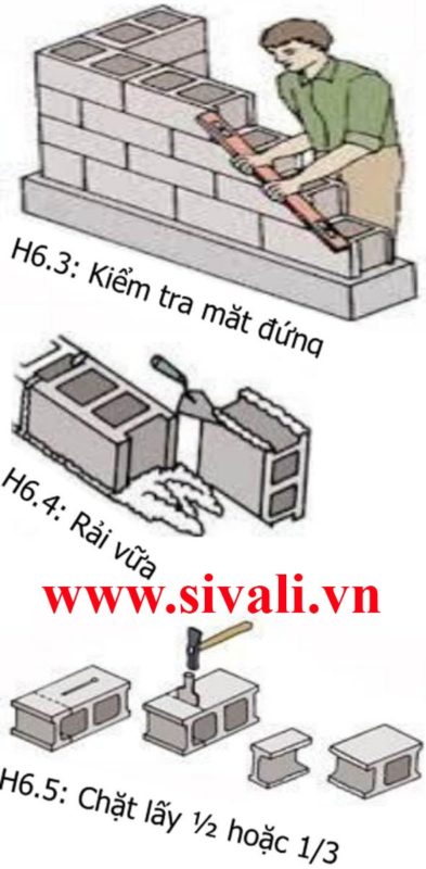 Máy ép gạch không nung Sivali Việt Nhật